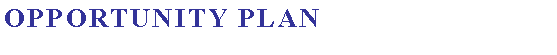 Text Box: Opportunity plan